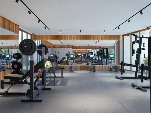 GIMNASIO _ GYM