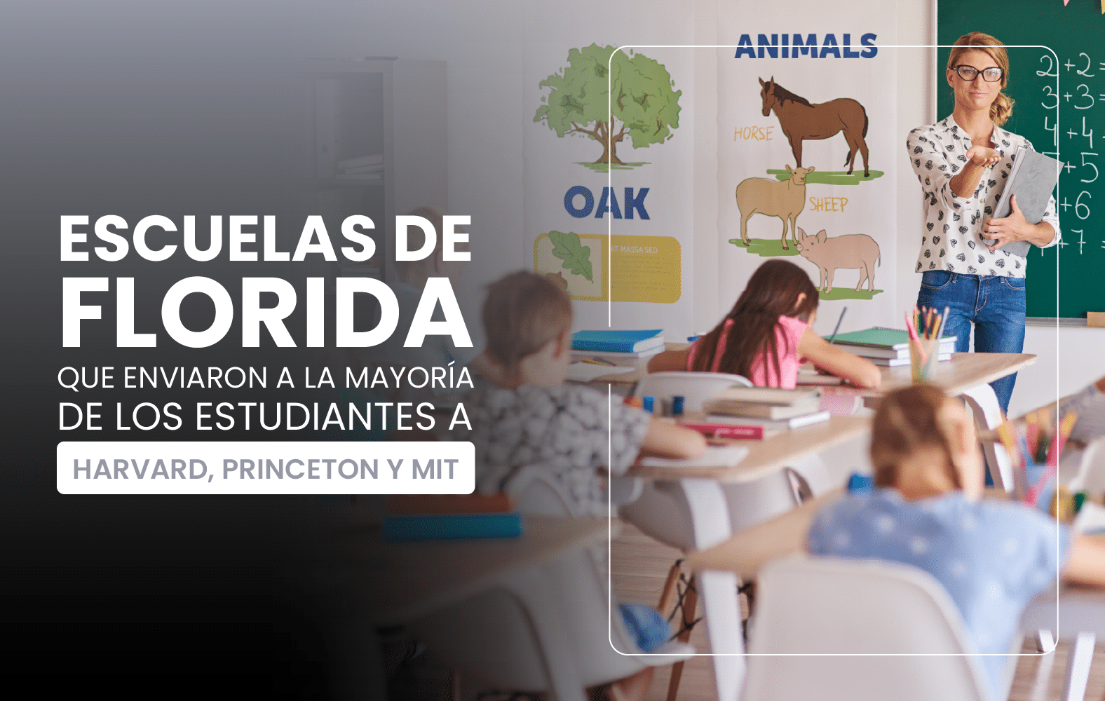 Escuelas de Florida Que enviaron a la mayoría De los estudiantes a Harvard, Princeton y MIT